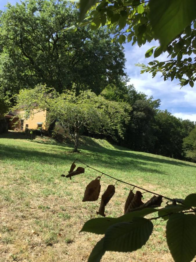 Logis Des 4 Fees Et Son Bain Nordique Villa Sainte-Nathalene Luaran gambar